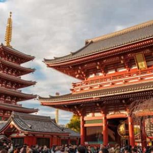 Visita al santuario Meiji e Harajuku