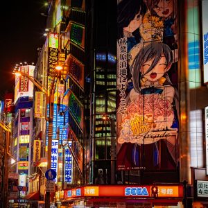 Esperienza a Akihabara