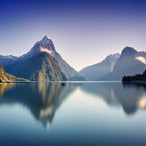 Visita a Mildford Sound